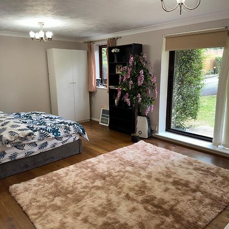 Stunning 2 Bedroom With Garden Sleep 6 London Ngoại thất bức ảnh